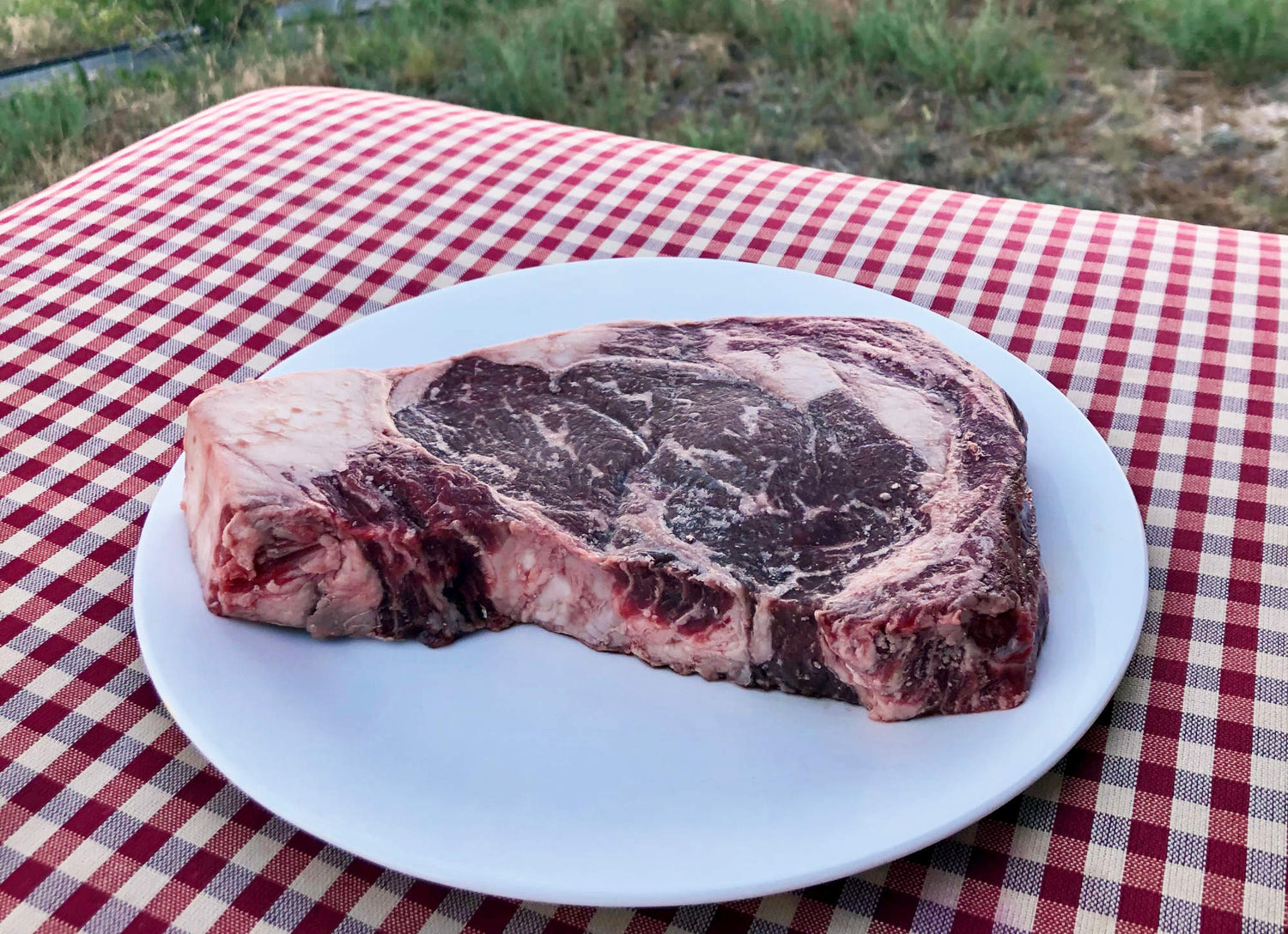 Raw steak on a white plate on a red-and-white-check tablecloth